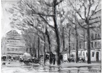 strada alberata a Parigi strada alberata a Parigi